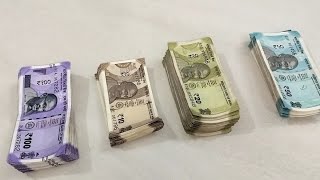 100, 10, 20, 50 Rupees Notes 16 March 2025 Money Counting Asmr Part-146 Serial No 85T 987143