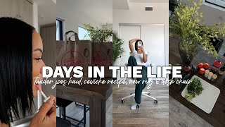 vlog: trader joes haul, ceviche recipe (finally!), 'no makeup' makeup new rug & desk chair by Marie Jay 32,694 views 1 month ago 36 minutes