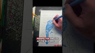 Blue bird of happiness #art #drawing #bird #perspective #moodshift