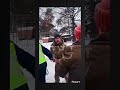 Жорсткий конфлікт на вулиці: Втручання поліції та несподівана розв'язка