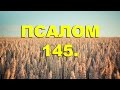 Псалтирь. ПСАЛОМ 145. [рус.]