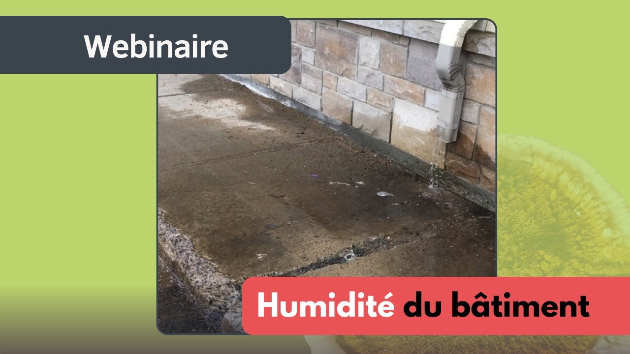 Pourquoi votre bâtiment est humide ?