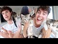 SURPRISED WITH BABY KITTENS!! (ADORABLE)