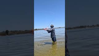 Fly Fishing the Flats fishing gonefishing fishingvideo fish