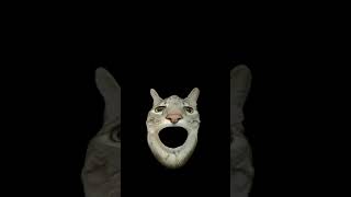 Meow meow