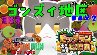 Splatoon3 びっぐらぁぁぁぁぁぁぁん！ゴンズイ地区で大暴れ！参加型【スプラトゥーン3】