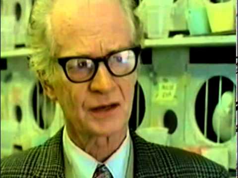 Video: BF Skinner эмнени ойлоп тапкан?