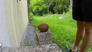 Coconut gets splattered Slow Motion GoPro3+