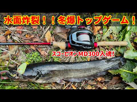 naokun39様 リクエスト 2点 まとめ商品 にやそ様 リクエスト 2点 まとめ商品 あ様 リクエスト 2点 まとめ商品