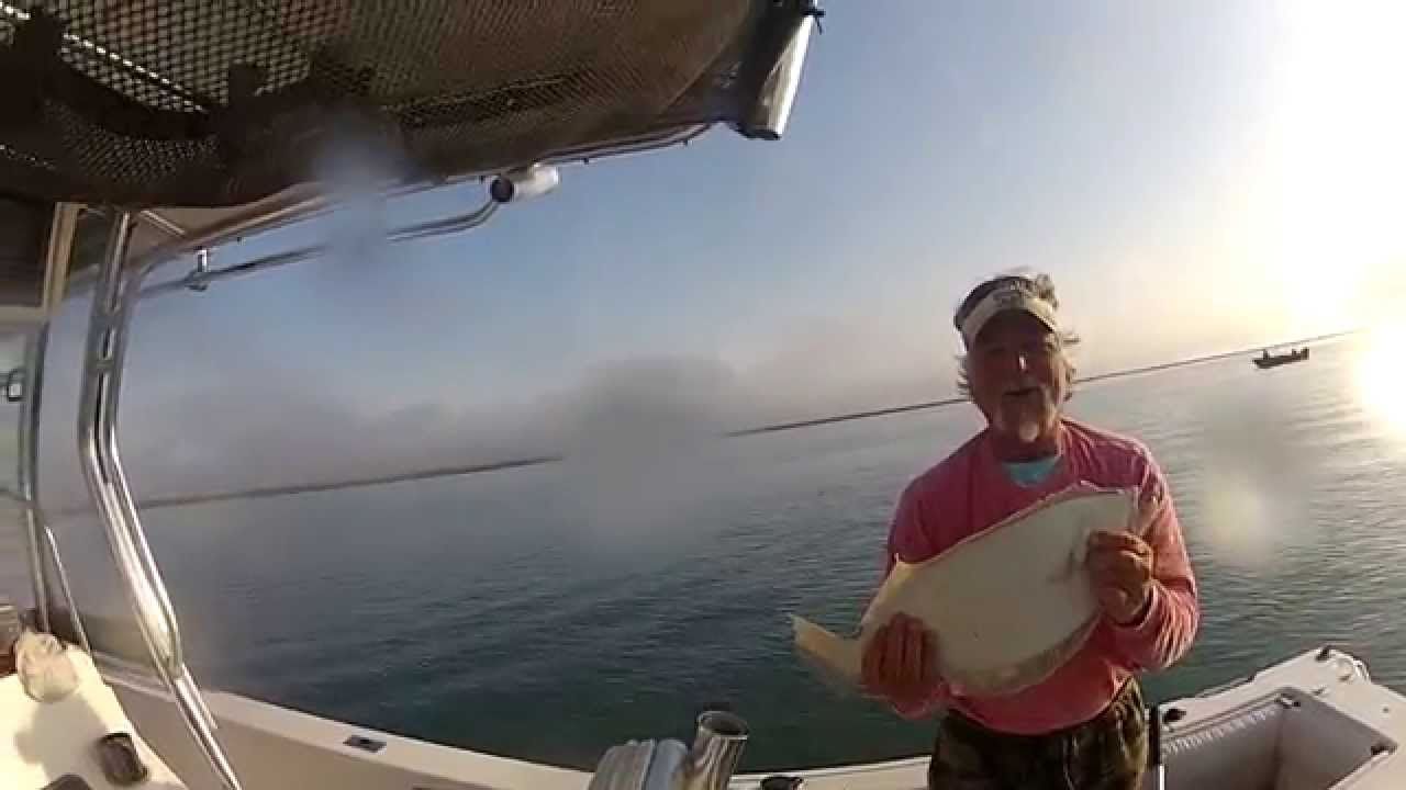 Wachapreague Flounder YouTube