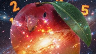 Cosmic Mango Bird Solos Freeze Mobs 