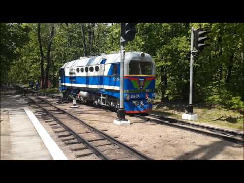Малая южная железная