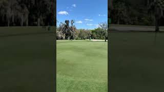 Tiny 2nd green on the Donald Ross Palatka Golf Course where the Florida Azalea is played