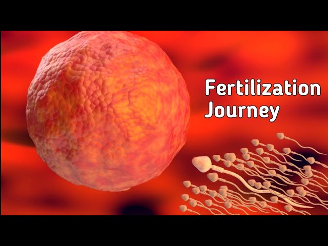 Порно: Кавказдықтар тобырда жетілген орыс әйелін трахает