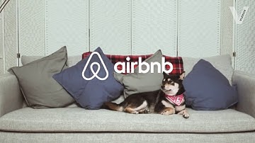 The 4 Myths of Digital Transformation