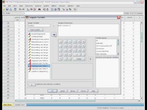Compute Variable with SPSS.avi (no audio)