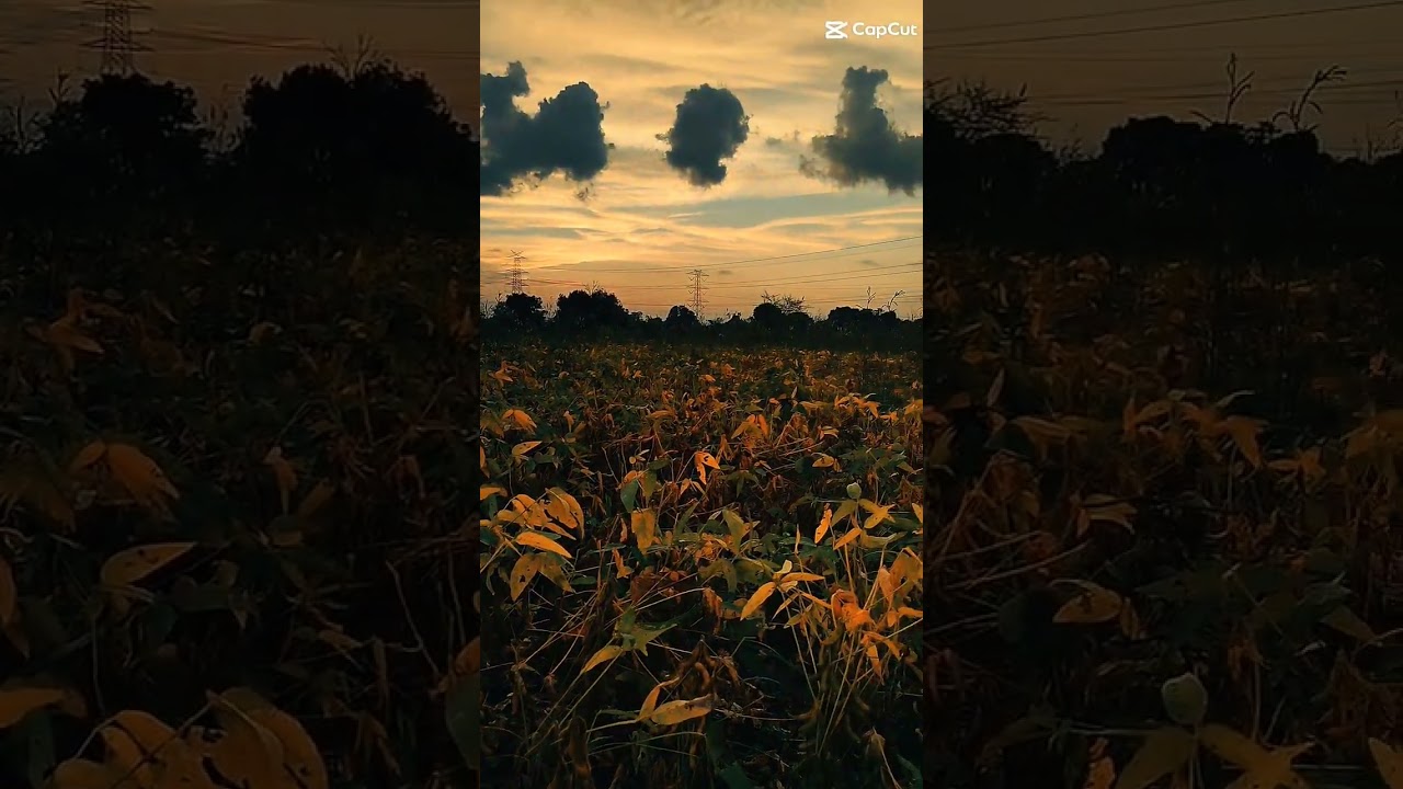 🚜 “From soil to soul, farming is our pride.