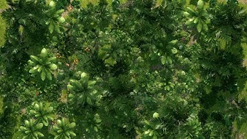 D&D - Animated Map - Dense Jungle