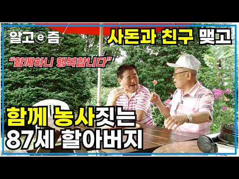 매일 &amp;#39;일십백천만&amp;#39; 주문 외우며 87세 할아버지가 하는 &amp;#39;이것&amp;#39;.. 고독감 느낄 새 없이 친구, 사돈까지 모여 즐겁게 지내는 할아버지의 건강 비결!┃장수가족 건강의 비밀┃알고e즘