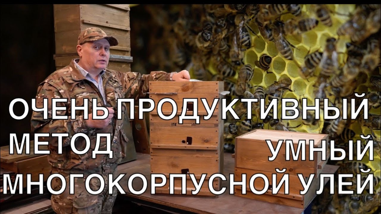 ОЧЕНЬ ПРОДУКТИВНЫЙ МЕТОД, УМНЫЙ МНОГОКОРПУСНОЙ УЛЕЙ