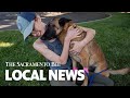‘I Would Do Anything for Her.’ See Eva the Dog Go Home After Saving Owner from Mountain Lion Attack