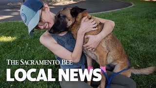 ‘I Would Do Anything for Her.’ See Eva the Dog Go Home After Saving Owner from Mountain Lion Attack