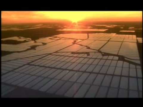 U.S. Catfish Industry Stands Firm, Maintains Support for USDA Inspections