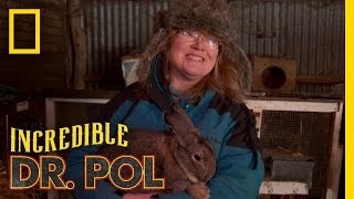 Dr. Pol Client Tales: Popeye the Rabbit | The Incredible Dr. Pol