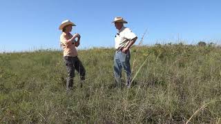 Patch Burn Grazing Native Grasslands - Explained By A Pro
