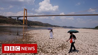 China faces severe drought amid a record-breaking heatwave – BBC News