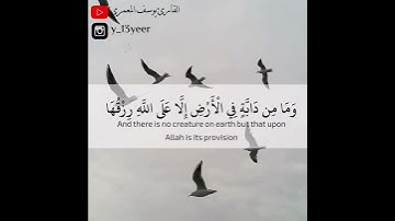 وَمَا مِن دَابَّةٍ فِي الْأَرْضِ إِلَّا عَلَى اللَّهِ رِزْقُهَا من سورة هود القارئ يوسف المعمري