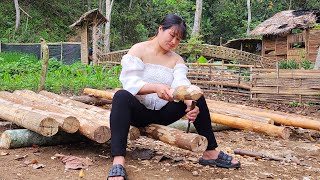 Alone Building an Off Grid Log Cabin in the Wilderness - The woman will soon have a new home by Pham Tâm 3,849 views 3 weeks ago 38 minutes