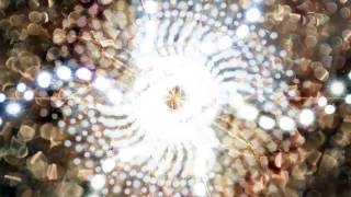 Sun Glitters - Tight