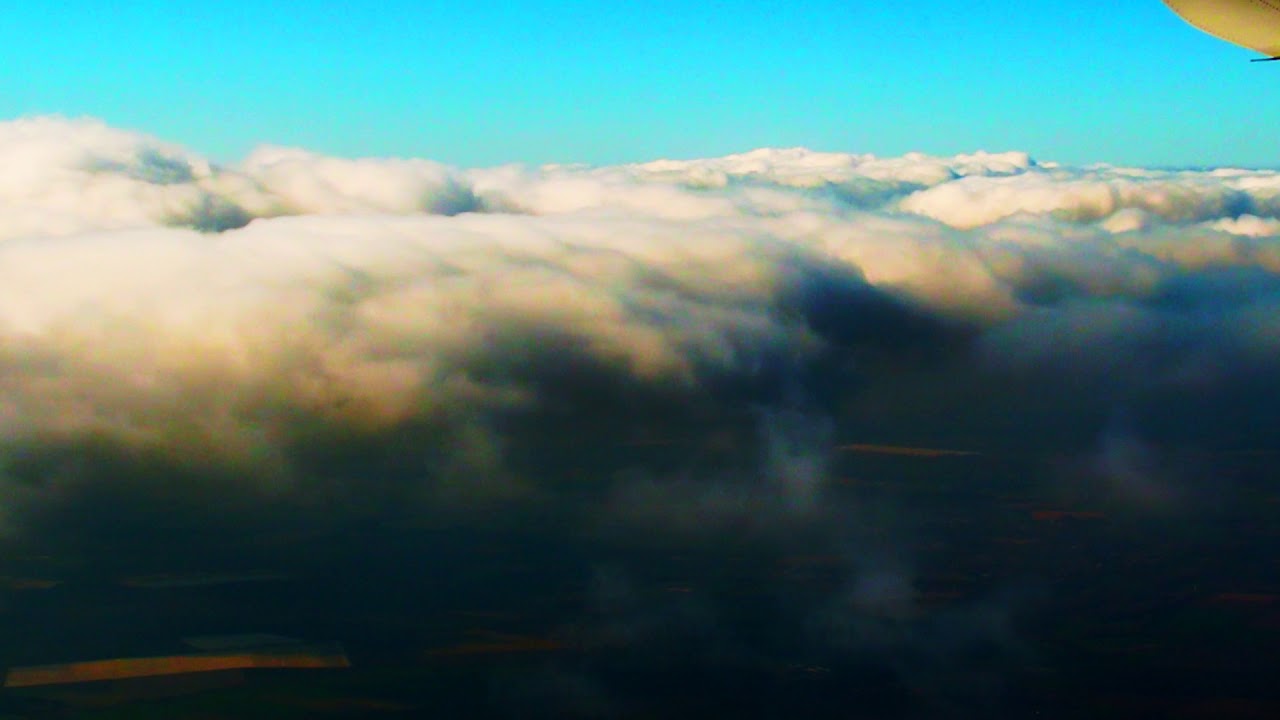 Tainted - Scenes from a flying dream. McCully Workshop