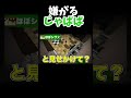 かっこいい名前つけるたっつん #カラピチ #マイクラ