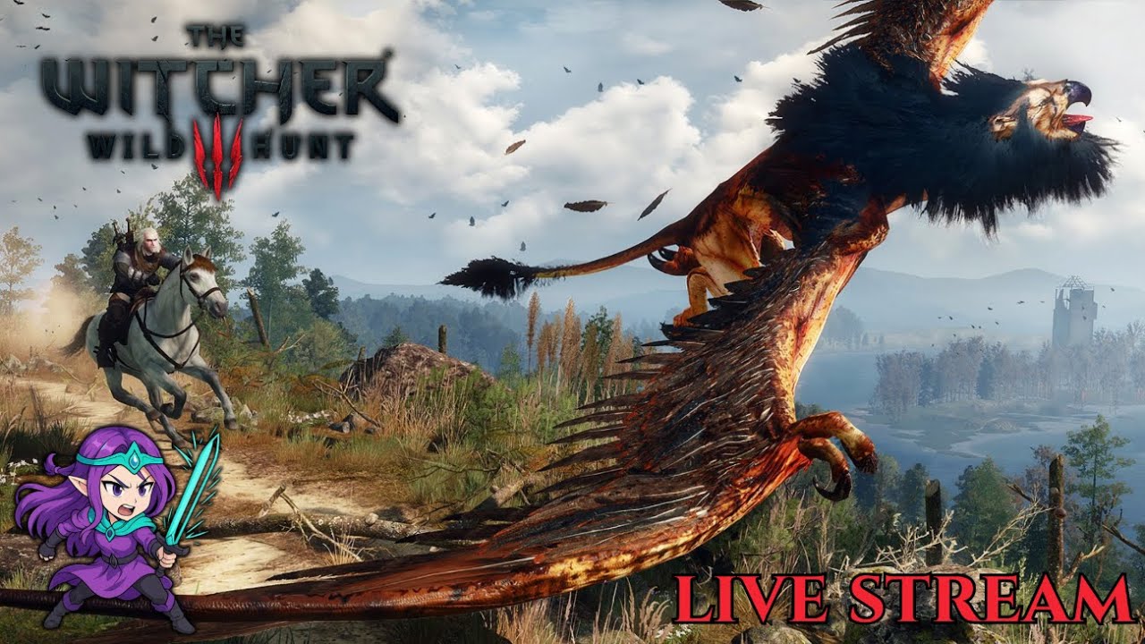 EPIC GANG BOSS TAKEDOWN!!! | Witcher 3 MODDED Ep 20