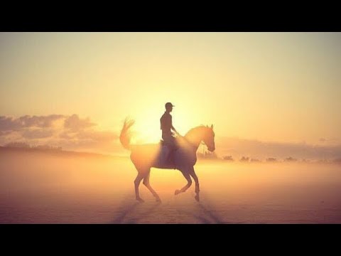 “Two” || equestrian music video