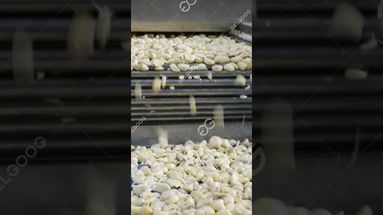 Maquina Peladora De Ajos 