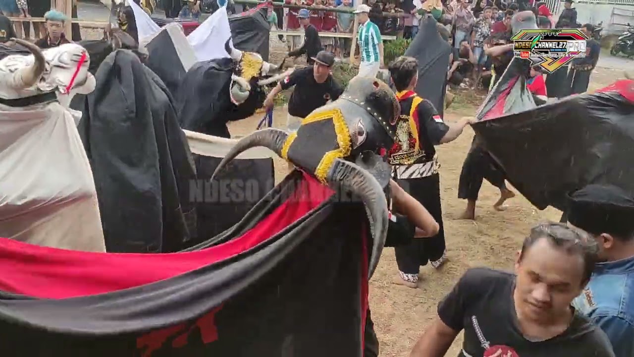 Audio jernih ❗ Tlogo Anom rojo Geduk grebek suro New Putro Joyo Live gadingkulon Dau Malang