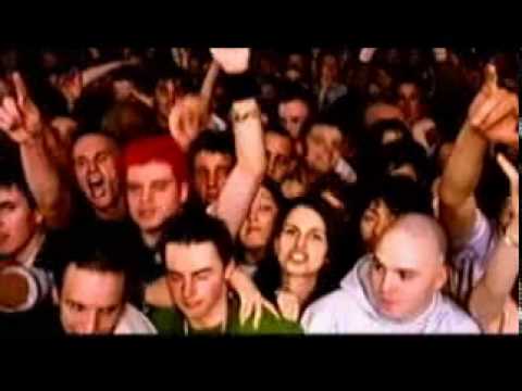 Avril Lavigne - Basket Case (live) - changview.com - more videos