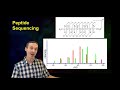 Top down vs bottom up proteomics