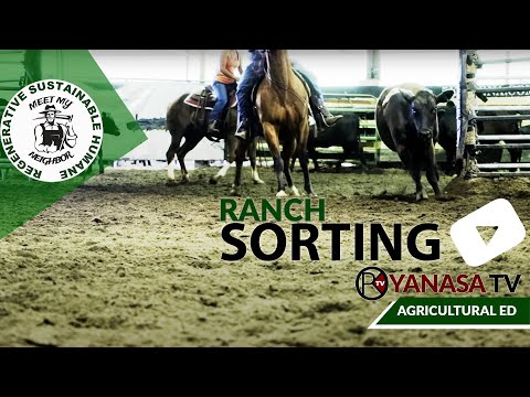 Ranch Sorting
