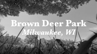 Brown Deer Park Disc Golf Course | Summer 2021