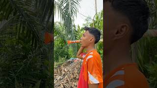 Memainkan Truk Lucu⁉️ #funny #subscribe #comedy #cutebaby #trendingshorts #viralshorts #foryoupage