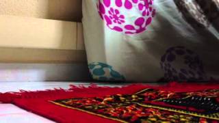 everywhere - nur janah allia