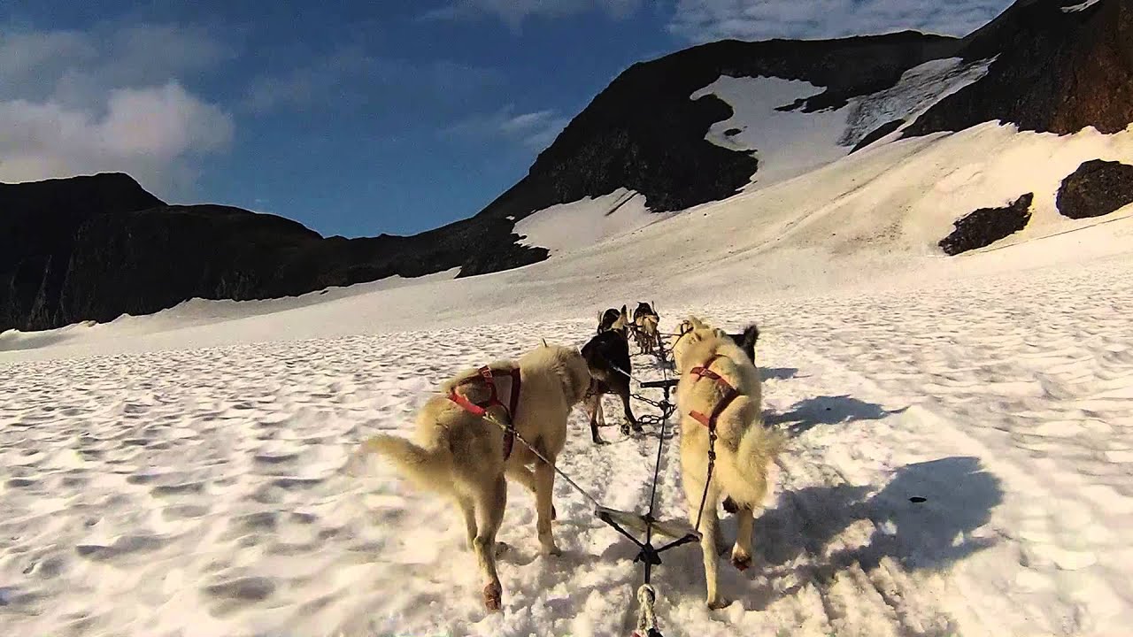 Mush2 PunchBowl Glacier Alaska YouTube