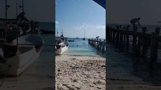 Picus Seafood Restaurant 🍤 on the sea 🌊 Isla Mujeres