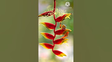 Surat Al-Asr (The Declining Day) | Mishary Rashid Alafasy | مشاري بن راشد العفاسي | سورة العصر