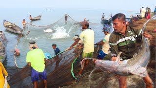 বহু বছর পর নদীতে ধরা পড়লো দানবাকৃতির সব মাছ! Most Satisfied Nest Fishing Video.