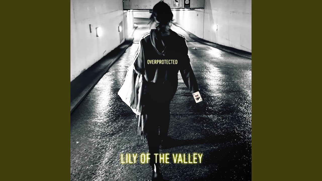 OVERPROTECTED (Cover Version)